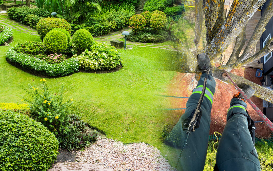 Why Gallant Services Is Your Top Choice for Excavation & Tree Services in Eastern Ontario