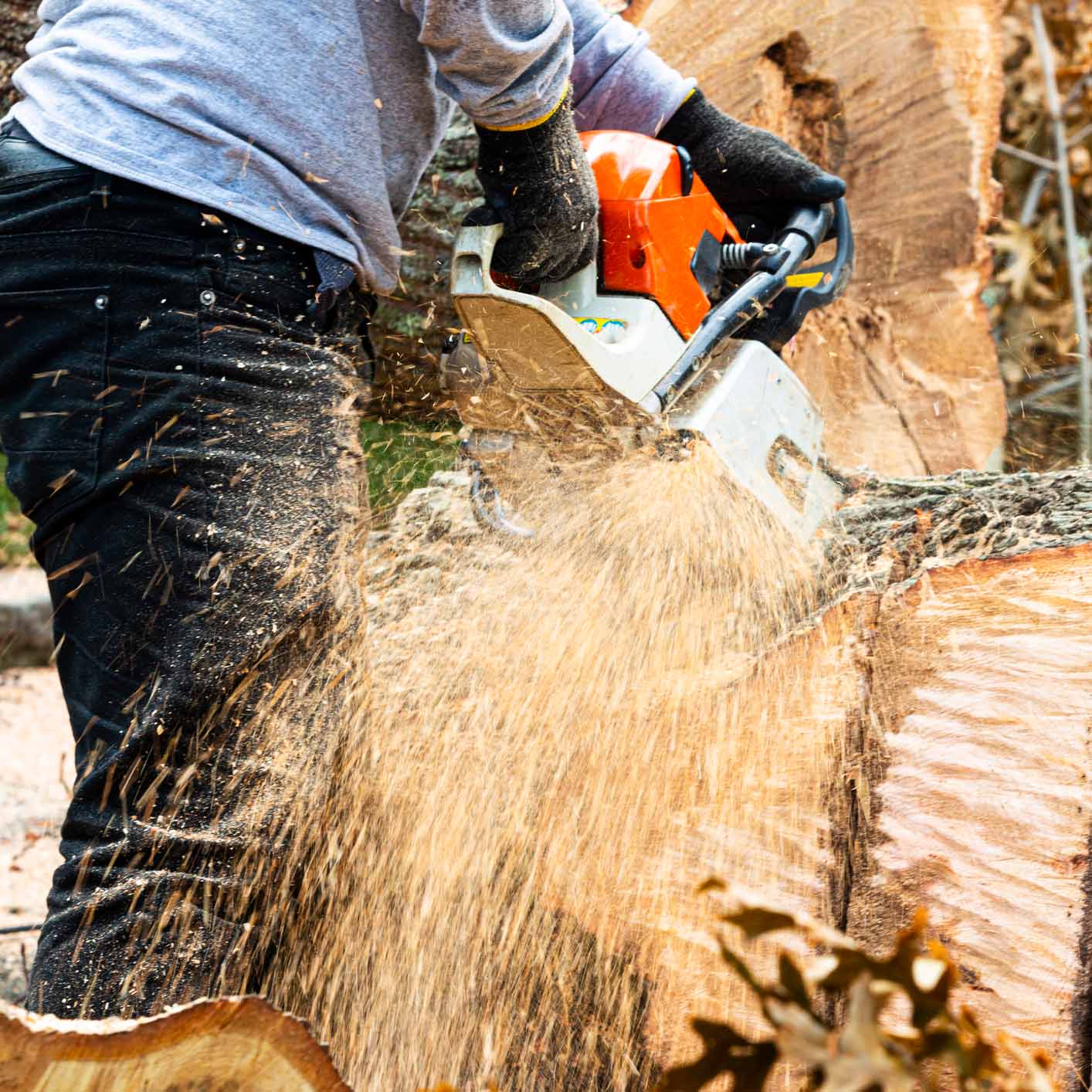 Stump Removal