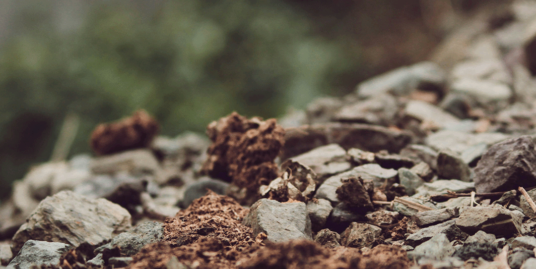 How Excavation Impacts the Environment, and Why Responsible Practices Matter