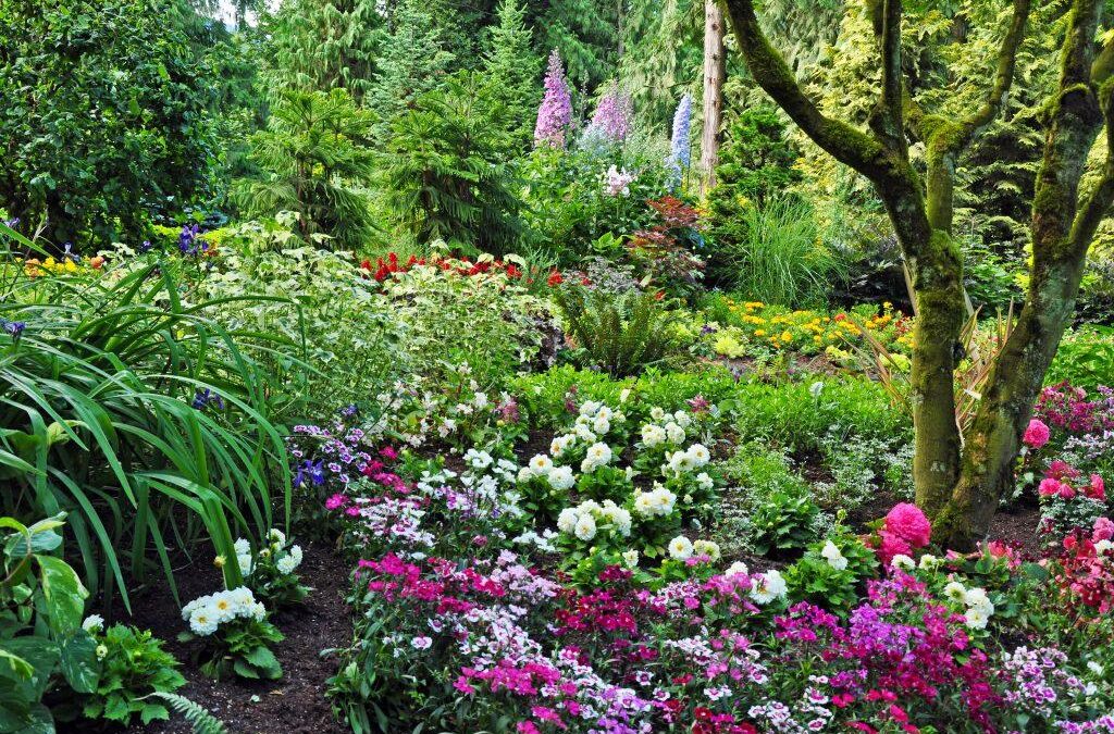 Create a Woodland Nook in Your Garden: Micro-Forest Design Ideas