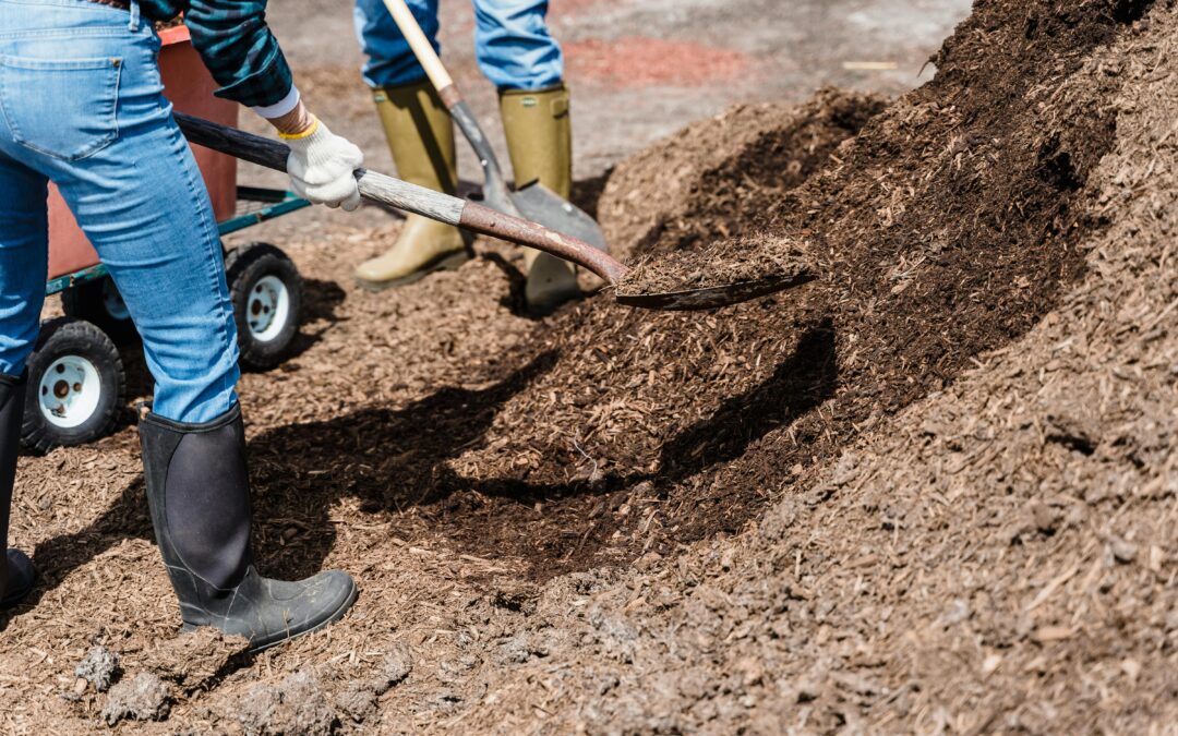 The Art of Mulching: Best Practices for October